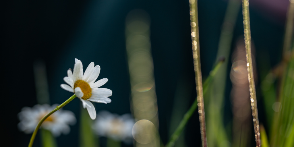 Egyeni mindfulness oktatas