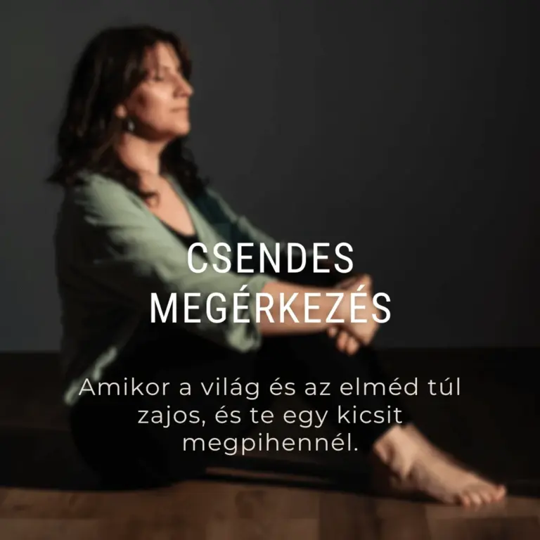 Ingyenes programok 3 A „Csendes megérkezés” jelenlétgyakorlat borítója